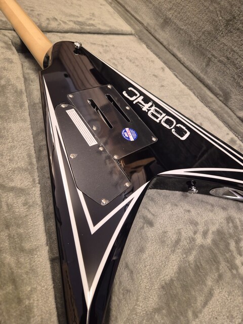 ESP LTD ALEXI LAIHO SAWTOOTH SE 20th ANNIVERSARY BLACK WHITE PINSTRIPE