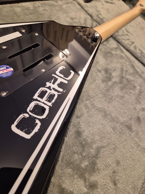 ESP LTD ALEXI LAIHO SAWTOOTH SE 20th ANNIVERSARY BLACK WHITE PINSTRIPE