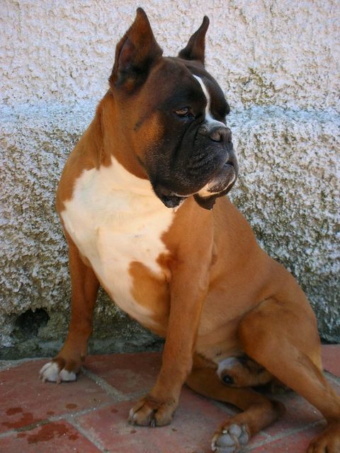ALLA TENERA ETA DI 10 ANNI SUO HOBBY PREFERITO CIUCCIARE LOMBRICHI(SEGRETO PER MATENERSI GIOVANE PROVARE PER CREDERE)