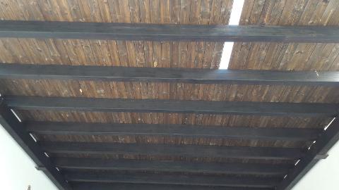 IMG-20171005-WA0013.jpg