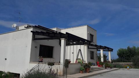 IMG-20171019-WA0015.jpg