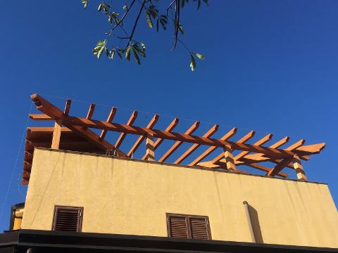 IMG-20171026-WA0001.jpg