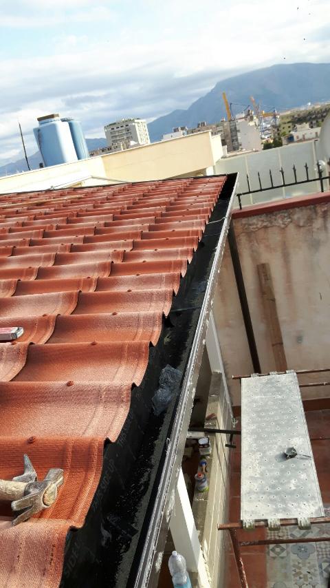 IMG-20171102-WA0025.jpg