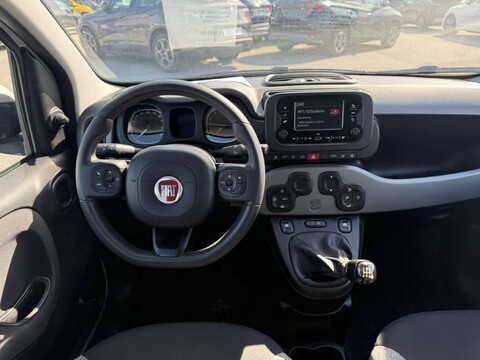 Fiat New Panda 1.0 HYBRID S&S 70 CV CITY LIFE Elettrica / Benzina