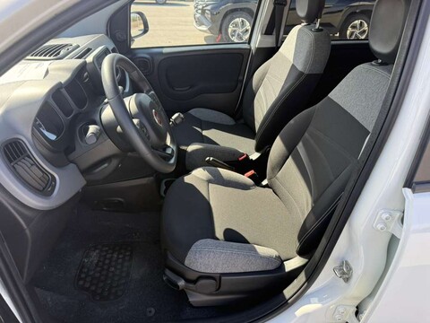 Fiat New Panda 1.0 HYBRID S&S 70 CV CITY LIFE Elettrica / Benzina