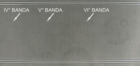 1491312885053_b-500_amianto-quarta-quinta_B.jpg