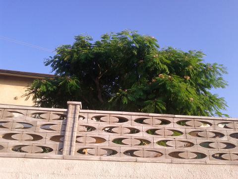 IMG_20120705_193045.jpg