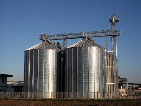 AGRIORSARA 125.jpg