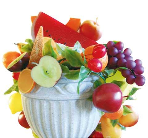 Frutta  in Plastica
