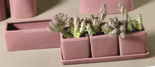 Cubetti x 3 in Ceramica su vassoio - Sconti per Fioristi e Aziende - 9x9 cm.