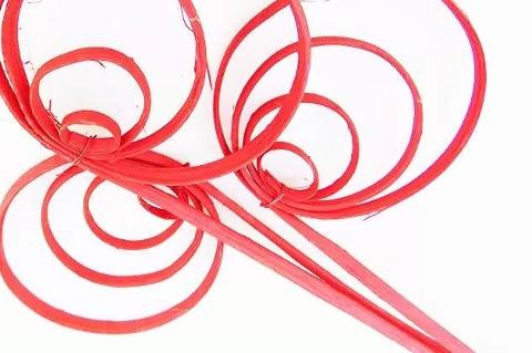 Cane Coil x 8 Colorato - Sconti per Fioristi e Aziende - H 70/80