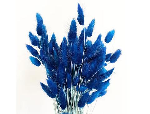 Colorante per immersione . - Adatto per fiori secchi e fronde - da Miscelare con Solvente