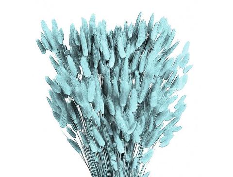 Colorante per immersione . - Adatto per fiori secchi e fronde - da Miscelare con Solvente