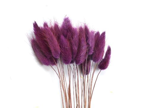 Colorante per immersione . - Adatto per fiori secchi e fronde - da Miscelare con Solvente