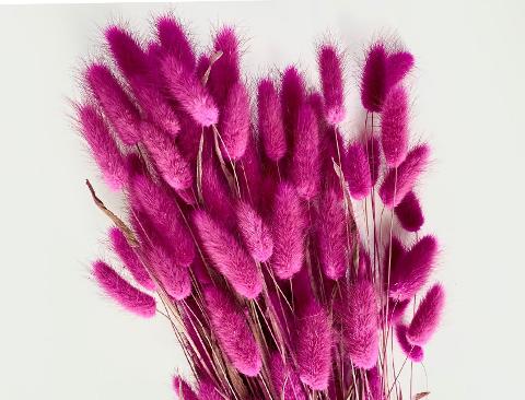 Colorante per immersione . - Adatto per fiori secchi e fronde - da Miscelare con Solvente