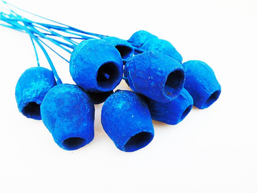 Capsule di Eucaliptus Naturale - Sconti per Fioristi e Aziende Dry steccate e colorate