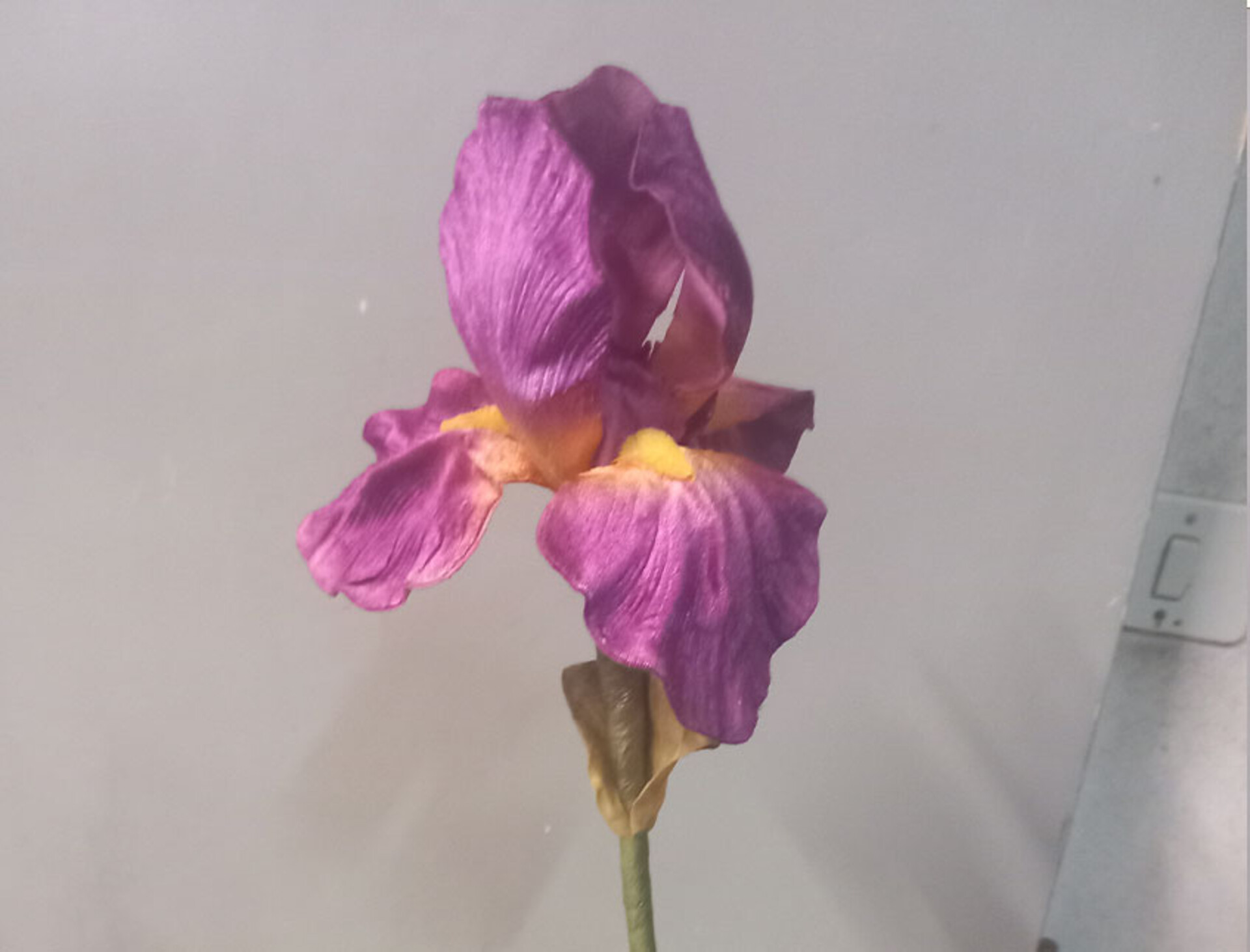 Iris Artificiale Singolo H 100- Sconti per Fioristi e Aziende . - in velluto