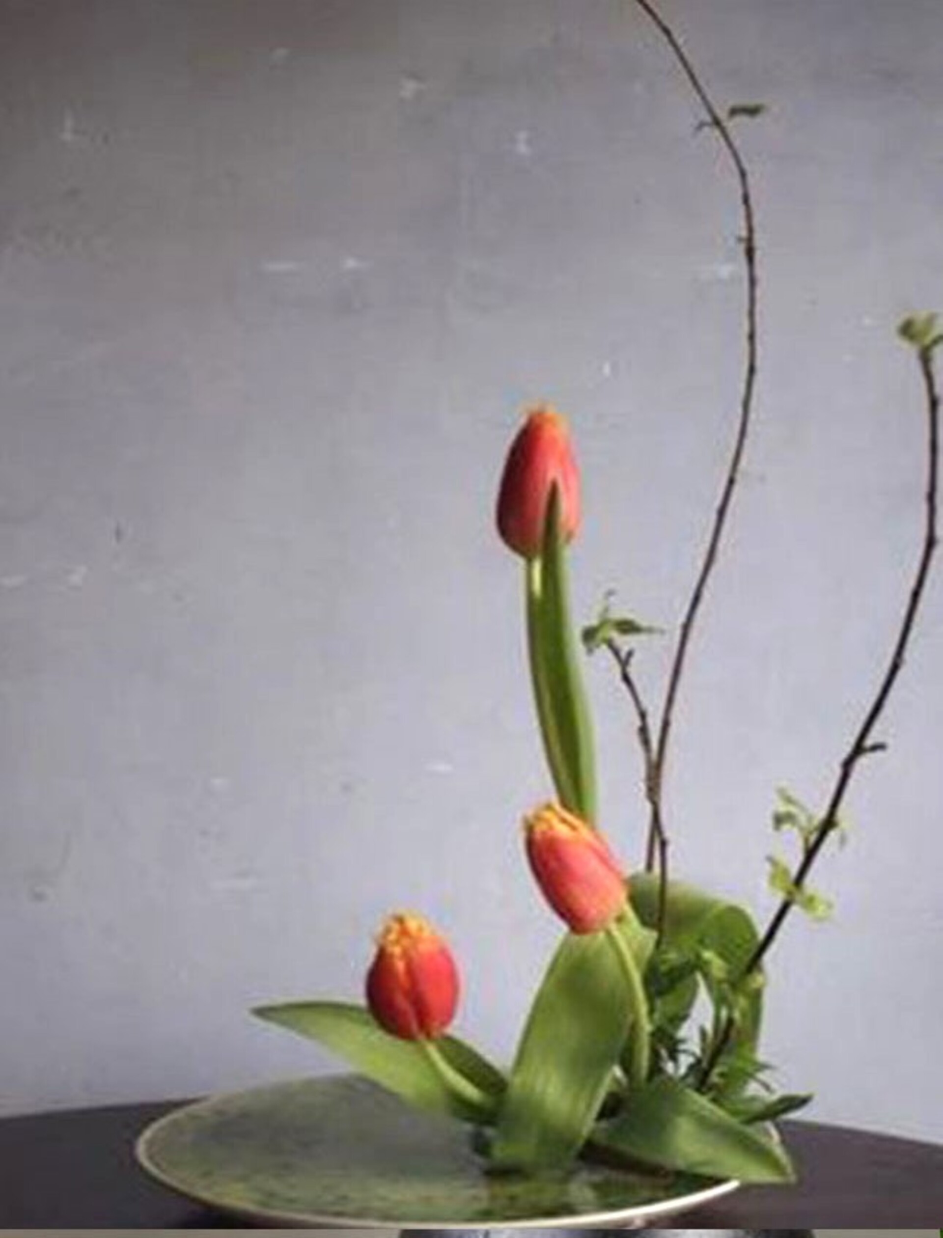 Tulipano Olandese Artificiale H 40 in poliestere - Sconti per Fioristi e Aziende .