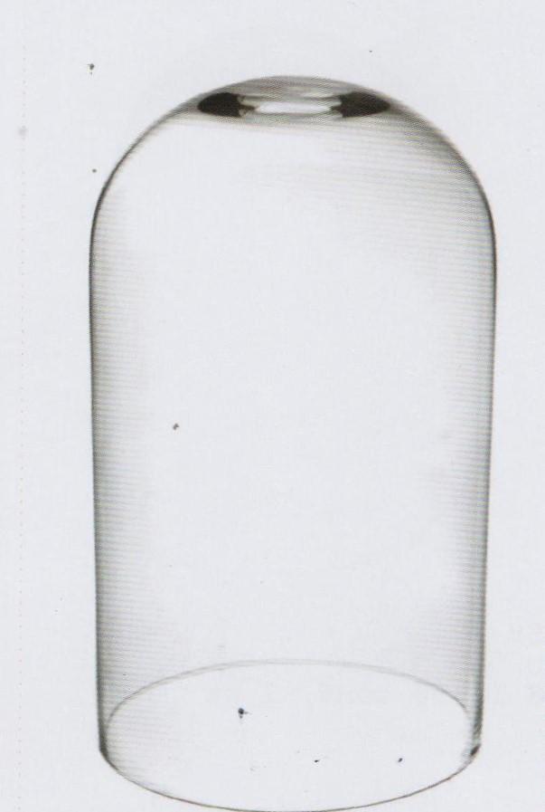Campana in vetro H 40 dm. 20 con e senza base - Sconti per Fioristi e Aziende