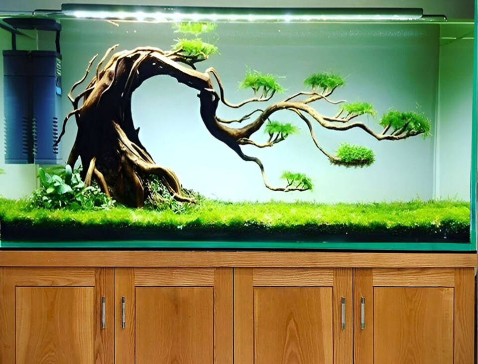 Vaschetta Rettangolare in Vetro cm. 36 x 10 H 20 - Sconti per Fioristi e Aziende