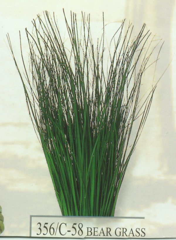 Bear Grass Naturale stabilizzato gr. 300 - Sconti per Fioristi e Aziende