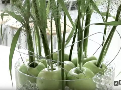 Fialetta in PS cc 10 con punta conf. x 100 fiale - Sconti per Fioristi e Aziende