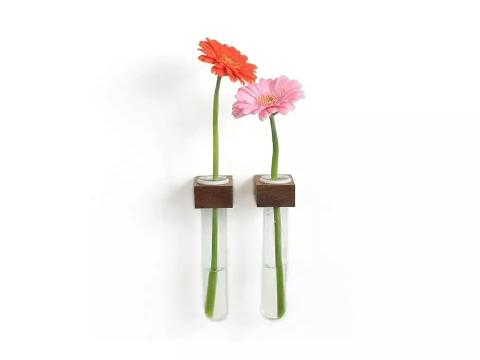 Fialetta in PS cc 10 con punta conf. x 100 fiale - Sconti per Fioristi e Aziende