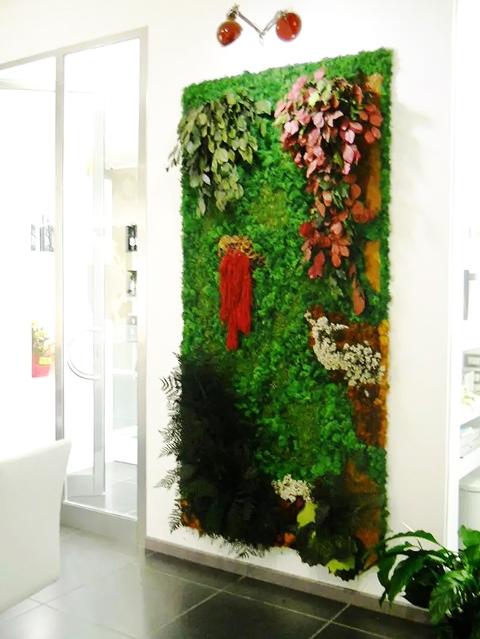 Giardini Vegetali Preservati - Sconti per Fioristi e Aziende - Adatto per Interno