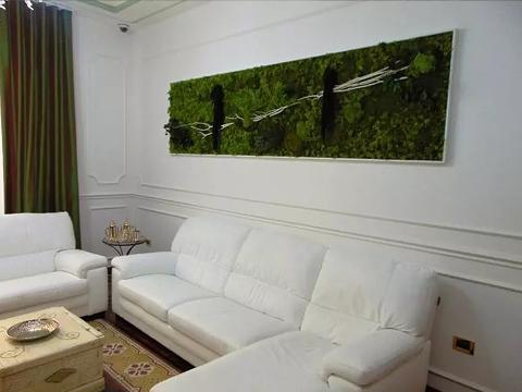 Giardini Vegetali Preservati - Sconti per Fioristi e Aziende - Adatto per Interno