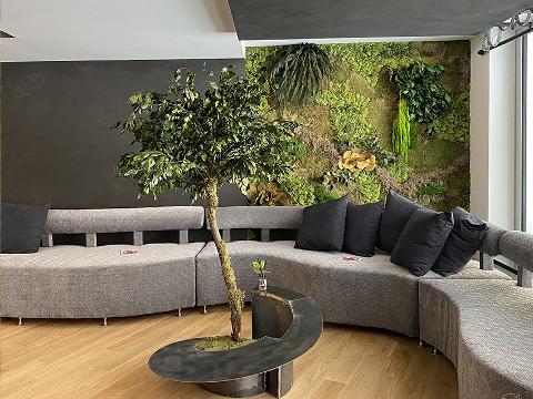 Giardini Vegetali Preservati - Sconti per Fioristi e Aziende - Adatto per Interno