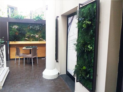 Giardini Vegetali Preservati - Sconti per Fioristi e Aziende - Adatto per Interno