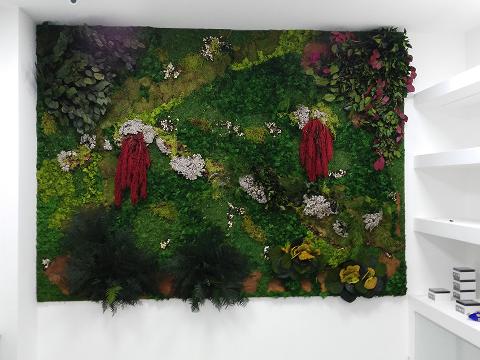 Giardini Vegetali Preservati - Sconti per Fioristi e Aziende - Adatto per Interno