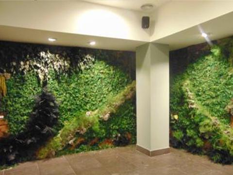 Giardini Vegetali Preservati - Sconti per Fioristi e Aziende - Adatto per Interno