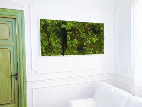 Giardini Vegetali Preservati - Sconti per Fioristi e Aziende - Adatto per Interno