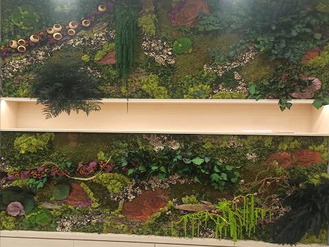 Giardini Vegetali Preservati - Sconti per Fioristi e Aziende - Adatto per Interno