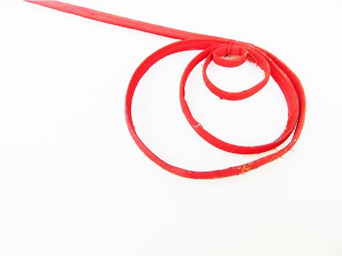 Cane Coil x 8 Colorato - Sconti per Fioristi e Aziende - H 70/80