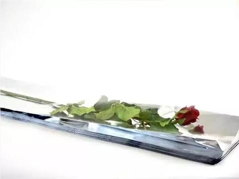 Buste per rosa H 25 X 100 - Confezione da 100 buste - Tutta Trasparente