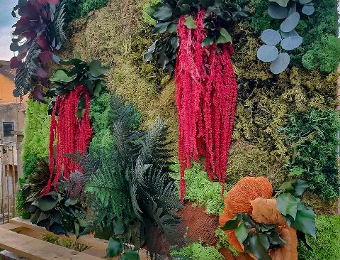 Giardini Vegetali Preservati - Sconti per Fioristi e Aziende - Adatto per Interno