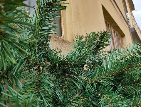 Festone di Natale cm.270 - Sconti per Fioristi e Aziende - dm.40 x 240 rami in Poliestere