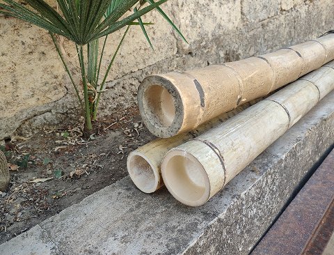 Canna di Bamboo dm 10/12 - Sconti per Fioristi e Aziende . - Alte cm.200