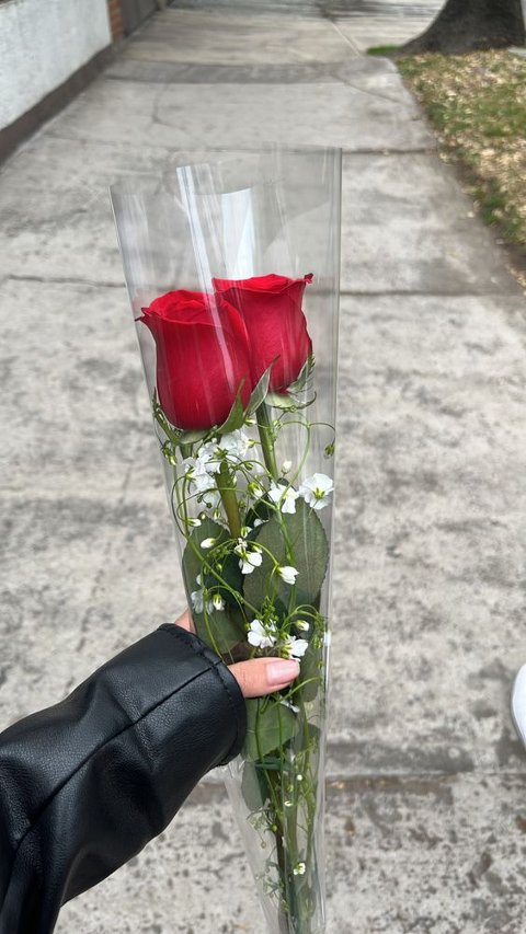 Buste per rosa H 25 X 100 - Confezione da 100 buste - Tutta Trasparente