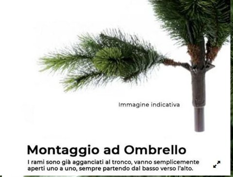 Albero Nigata abete verde - Sconti per Fioristi e Aziende . - H 150/180/210/240