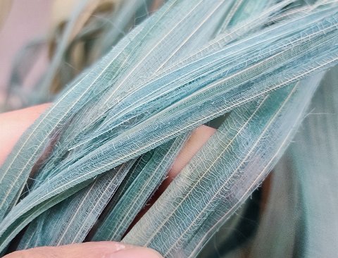 Ciuffo scheletrico H 80 - Sconto per Fioristi e Aziende - due colori