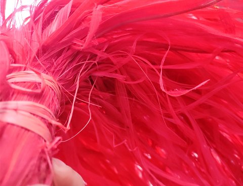 Ciuffo scheletrico H 80 - Sconto per Fioristi e Aziende - due colori