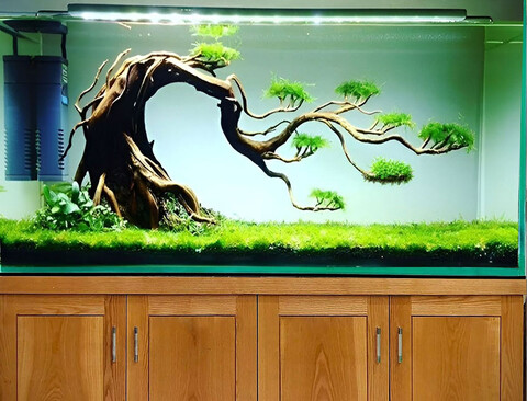 Vaschetta Rettangolare in Vetro cm. 36 x 10 H 20 - Sconti per Fioristi e Aziende