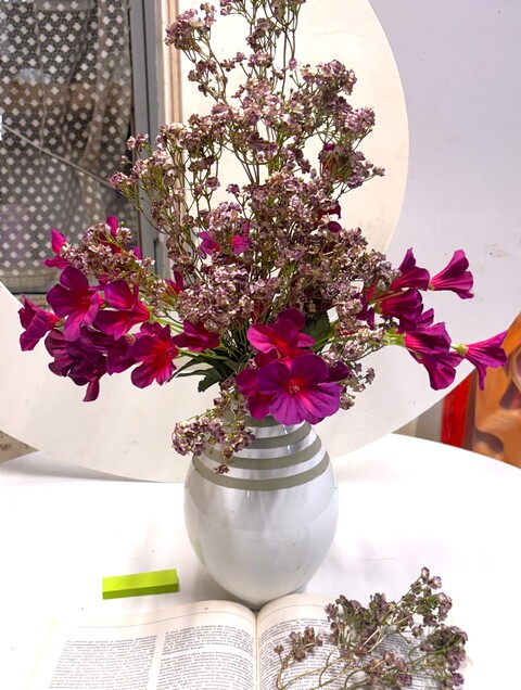 Gipsofilia Dorata x3 - Sonti per Fioristi e Aziende - ramo x3 H 57