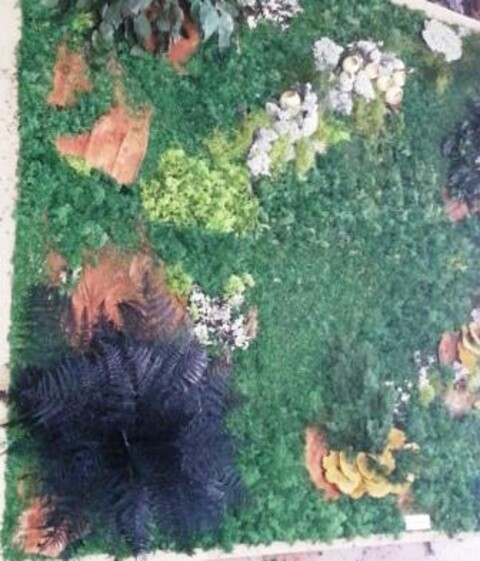 Giardini Vegetali Preservati - Adatti soltanto per interni . - Stile Airport VIP