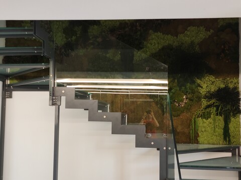 Giardini Vegetali Preservatii - Sconti per Fioristi e Aziende . - Adatto per Interno