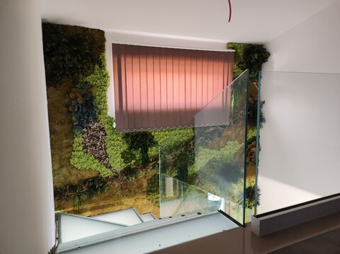 Giardini Vegetali Preservatii - Sconti per Fioristi e Aziende . - Adatto per Interno