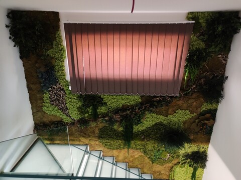 Giardini Vegetali Preservatii - Sconti per Fioristi e Aziende . - Adatto per Interno